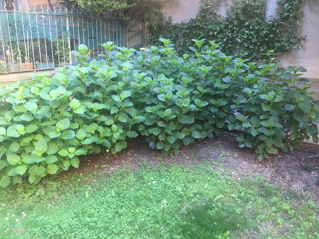 Loreto Elite Milano Zewnętrze zdjęcie